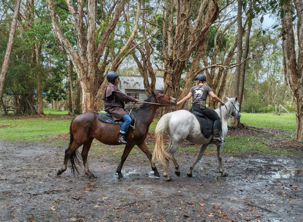 http://A%20young%20woman%20is%20being%20lead%20by%20a%20horse%20riding%20coach%20through%20mud%20in%20a%20forest