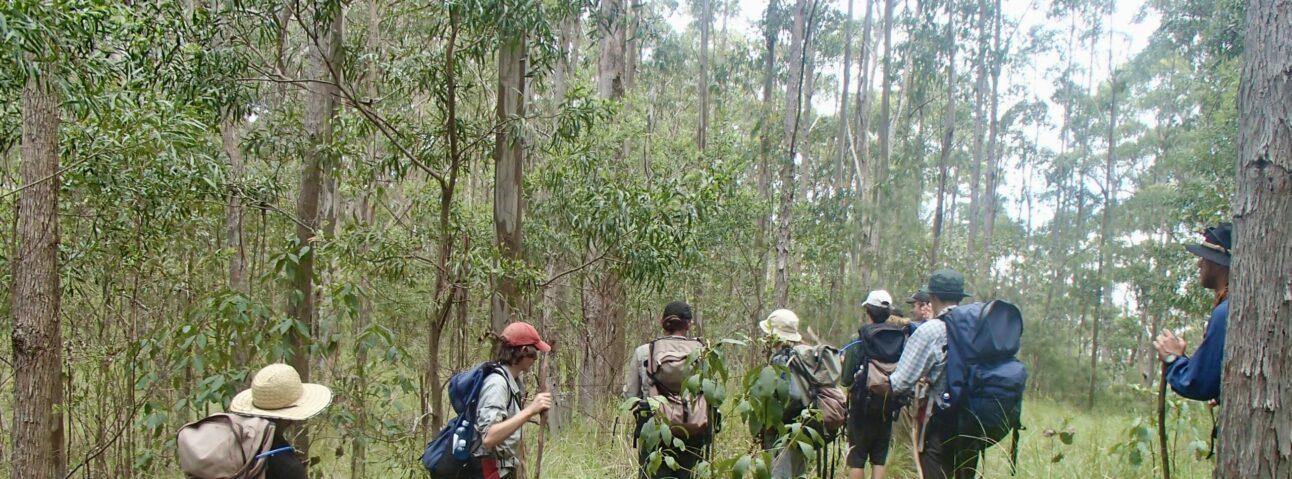 Teenagers on an expedition in the rainforest